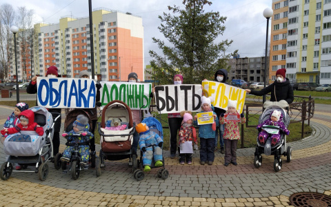 Кировские мамы устроили флешмоб за чистый воздух в Озерках