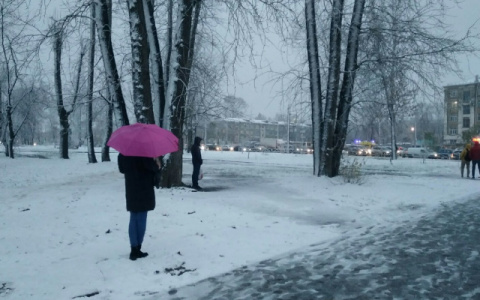 Похолодание к выходным: прогноз погоды в Кирове на рабочую неделю