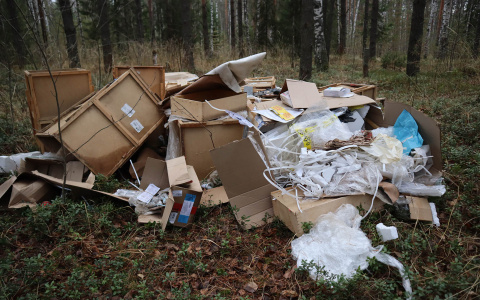 В сосновом бору рядом с Озерками нашли свалку медицинских отходов
