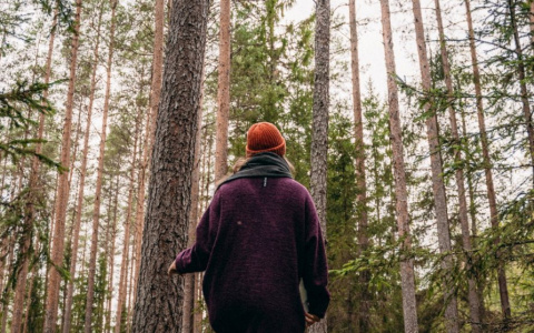 День Дев пойдет не по плану, а к Рыбам проявят интерес: гороскоп на среду