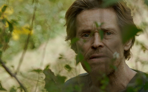 Эксклюзивная премьера в Wink — драма «Сибирь» американского режиссера Абеля Феррара