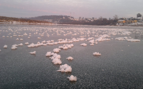В Кировской области наблюдали редкое явление - ледяные цветы