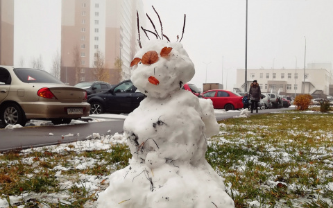 Аномальное тепло: опубликован прогноз на зиму в Кировской области
