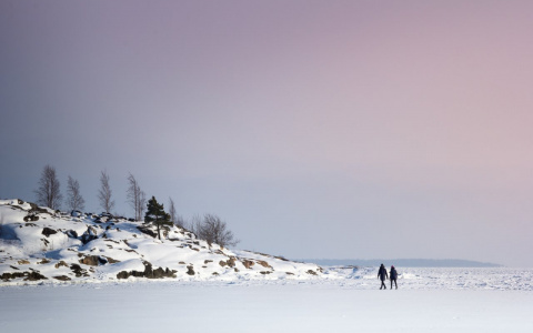 Близнецы наживут врагов, а Рыбам придется просить о помощи: гороскоп на среду