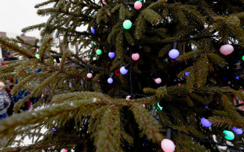 Как в любимых рождественских фильмах: сказочная жизнь в таунхаусах от «Железно»