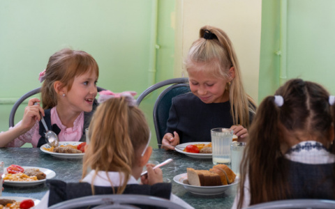 В Кирове приостановлена оплата питания детей в школах по транспортным картам