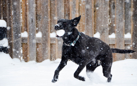 Тельцам будет непросто, а Козерогам нельзя слушать других: гороскоп на выходные