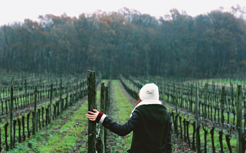 У Близнецов настанет переломный момент, а Ракам поможет интуиция: гороскоп на неделю