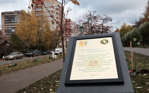 В Кирове начали раскопки на месте памятной аллеи на проспекте Мира