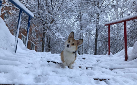 Львы будут в центре внимания, а Козероги обидятся на весь мир: гороскоп на пятницу