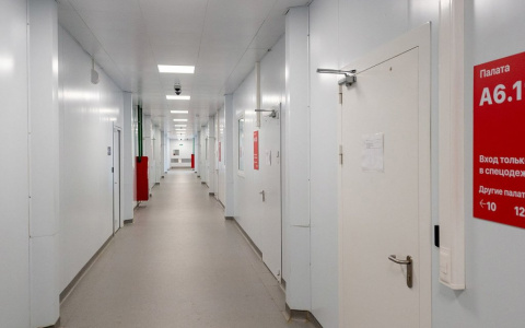 За сутки коронавирусом в Кировской области заболели 240 человек