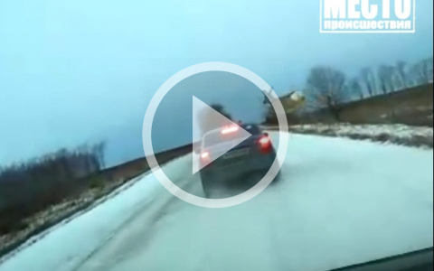 Видео: в Кировской области перебегающие дорогу косули чуть не спровоцировали ДТП