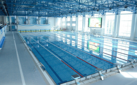 В Кирове организуют бесплатные занятия по плаванию для детей