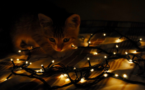 В понедельник сотни кировчан останутся без света: список адресов, где не будет электричества