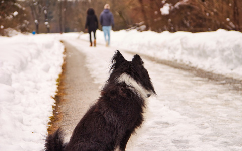 Скорпионы укрепят семейное положение, а Раков захлестнет энергия: гороскоп на неделю