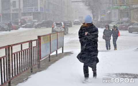 Народный синоптик рассказал, когда в Киров придут 25-градусные морозы