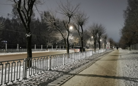 «Пешеходы надежно защищены от деревьев»: кировчане о новых заборах в городе