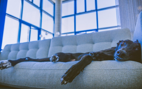 Раки окажутся в центре событий, а Девы будут выяснять отношения: гороскоп на среду