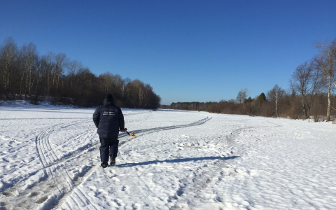 В лесу Кировской области нашли тело жестоко убитого мужчины