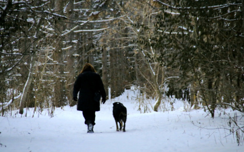 Раки будут на взводе, а Овны наладят личную жизнь: гороскоп на выходные
