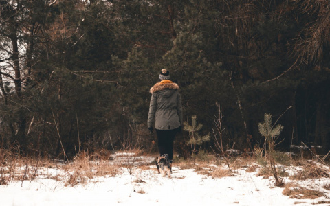 Раки окажутся перед выбором, а Рыб ждет финансовый взлет: гороскоп на неделю