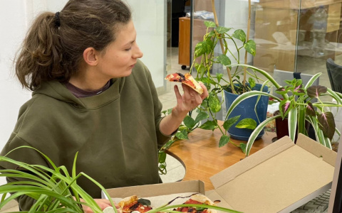 Проверяем службы доставки еды в Кирове: результаты "Хлеб и пицца для друзей"