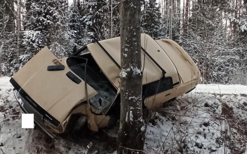 В Кировской области ВАЗ въехал в дерево: два человека погибли