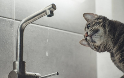 В Кирове жители трех микрорайонов останутся без холодной воды