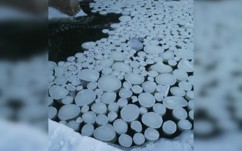 Ледяные блины: необычное природное явление вновь заметили в Кировской области