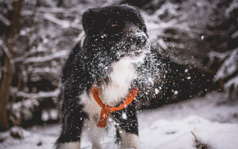 Водолеи будут стрессовать, а Рыбы - сворачивать горы: гороскоп на среду