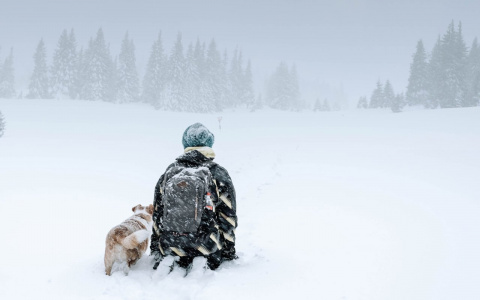 Львы примут важное решение, а Водолеи будут баловнями судьбы: гороскоп на 2021 год