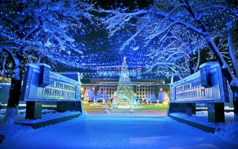 Куда сходить в Новогодние каникулы в Кирове?