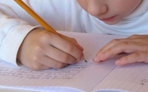 Почему ребенок делает глупые ошибки в диктанте?