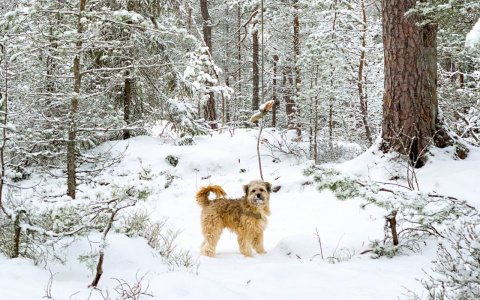 Близнецам нельзя нервничать, а Ракам откладывать работу: гороскоп на выходные