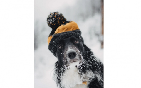 Тельцы смогут расслабиться, а Скорпионов испытает судьба: гороскоп на воскресенье