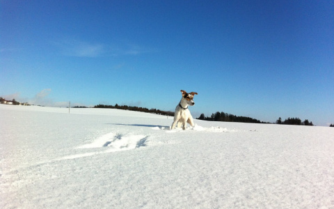 Раки испытают нежные чувства, а Козерогам придется ограничивать себя: гороскоп на вторник