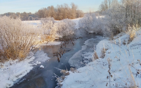 6 красивых мест в Кировской области, куда можно съездить в новогодние каникулы