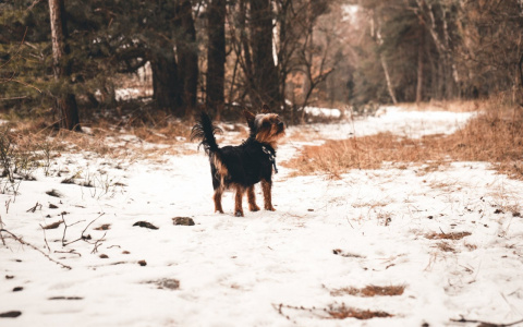 Ракам пора передохнуть, а Рыб ждет финансовая удача: гороскоп на среду