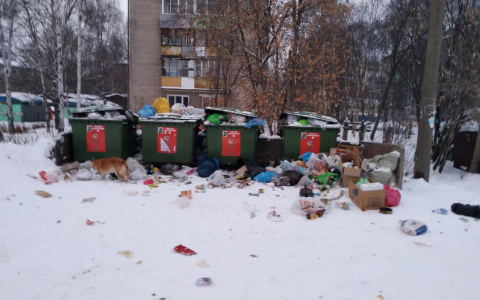 "Куприт" прокомментировал мусорный коллапс в Кирове