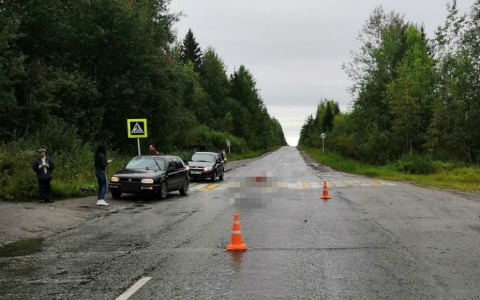 25-летнему водителю дали реальный срок за смерть пешехода в Омутнинском районе