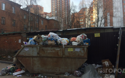 Вывоз мусора из кировских дворов будет контролировать прокуратура