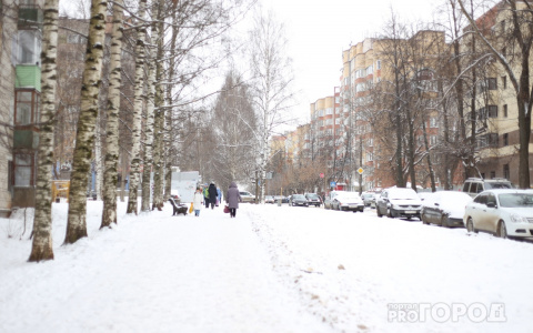 Морозы приближаются: прогноз погоды на январь от народного синоптика