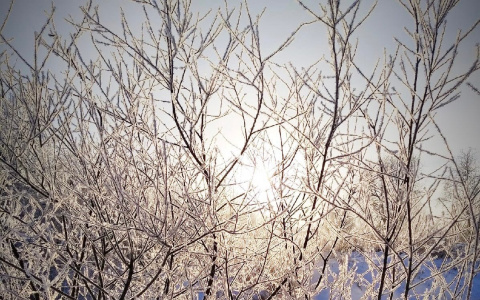 На следующей неделе в Кировской области ожидается самое сильное похолодание за 4 года