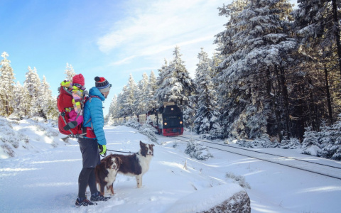 Львам пора делать выводы, а Козерогам - отходить от выходных: гороскоп на вторник