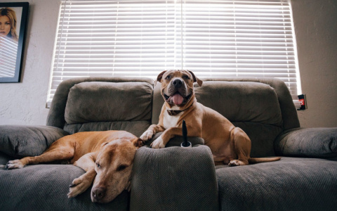 Тельцам нужно беречь кошелек, а Девам - репутацию: гороскоп на среду