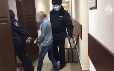 Закончено расследование дела матери 4 детей, погибших в пожаре в Ложкарях