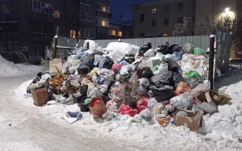 Бывший замглавы "Куприта" спрогнозировал мусорный коллапс до весны