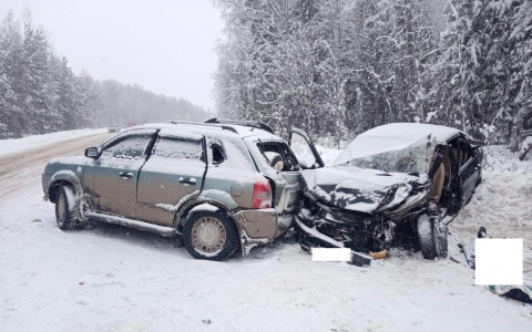 В Кировской области в ДТП на трассе погиб 63-летний мужчина