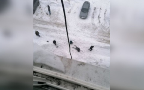 В Слободском рабочий упал с высоты пятого этажа во время чистки крыши от снега