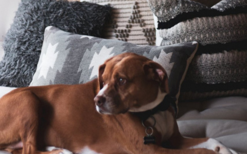 Девы будут рисковать, а Стрельцы примут важное решение: гороскоп на среду